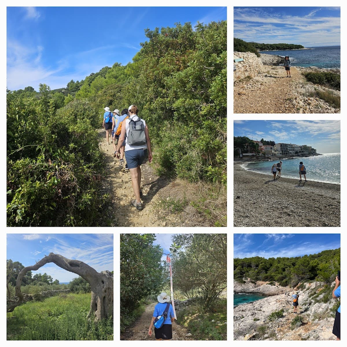 Hikers on coastal trail with views of rocky shore, beach, and olive trees