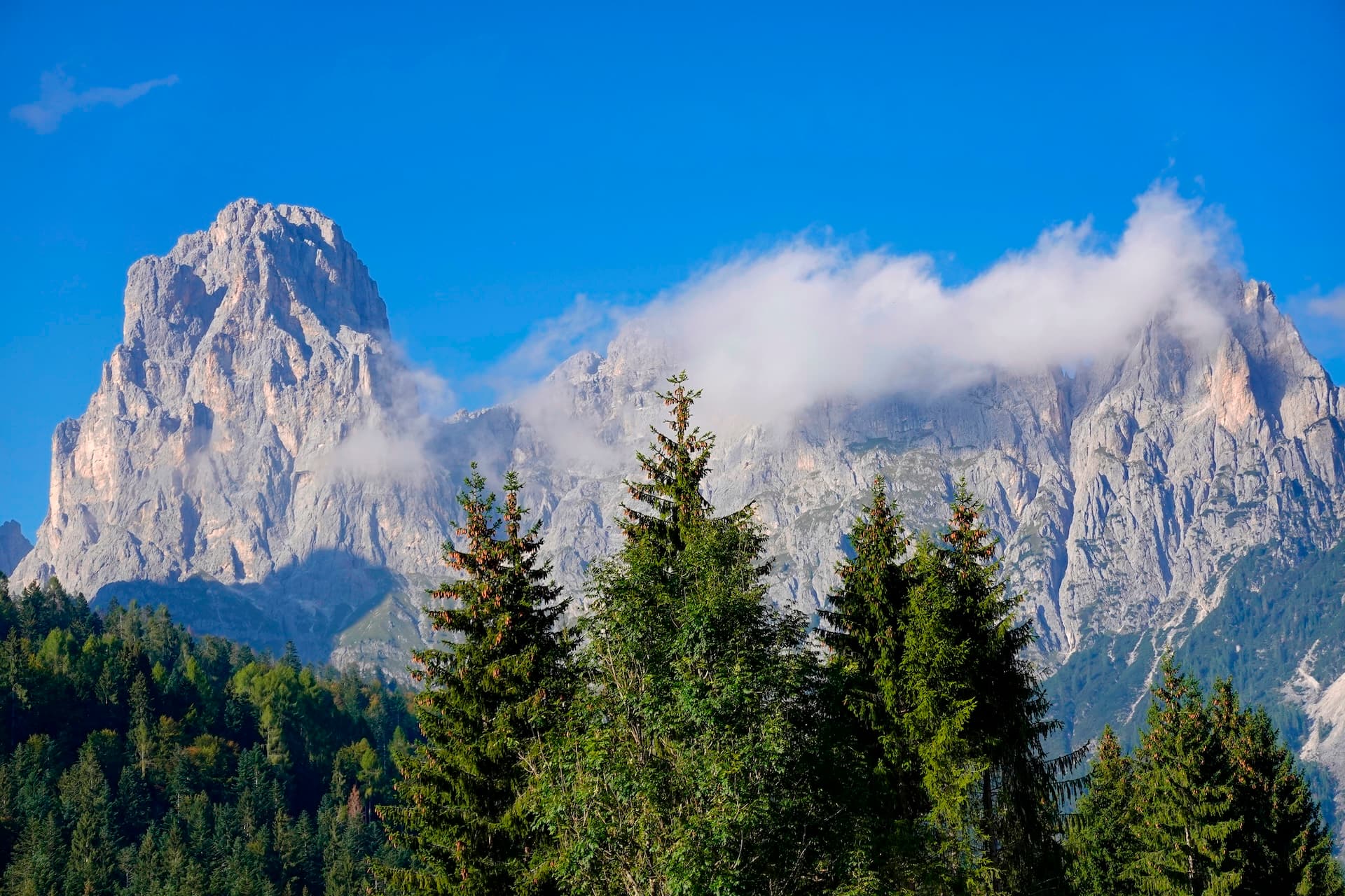 Summer view of Pale di San Martino mountains with evergreen trees and blue sky.