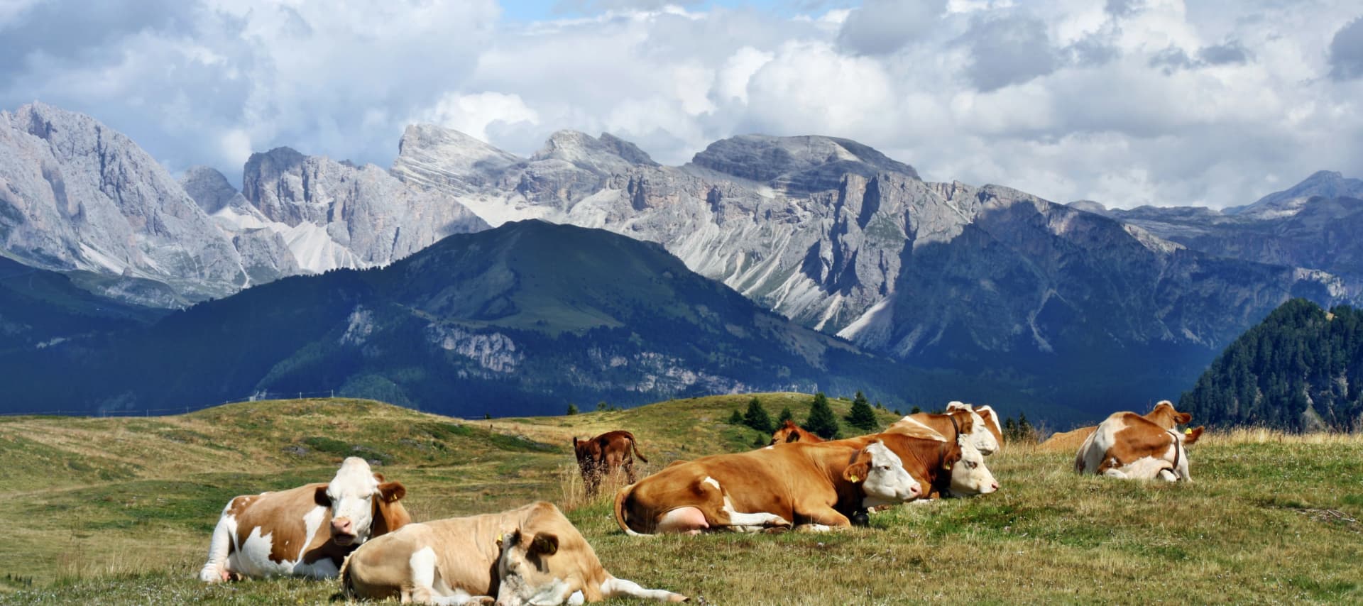 Dolomiti viste dal Bullaccia