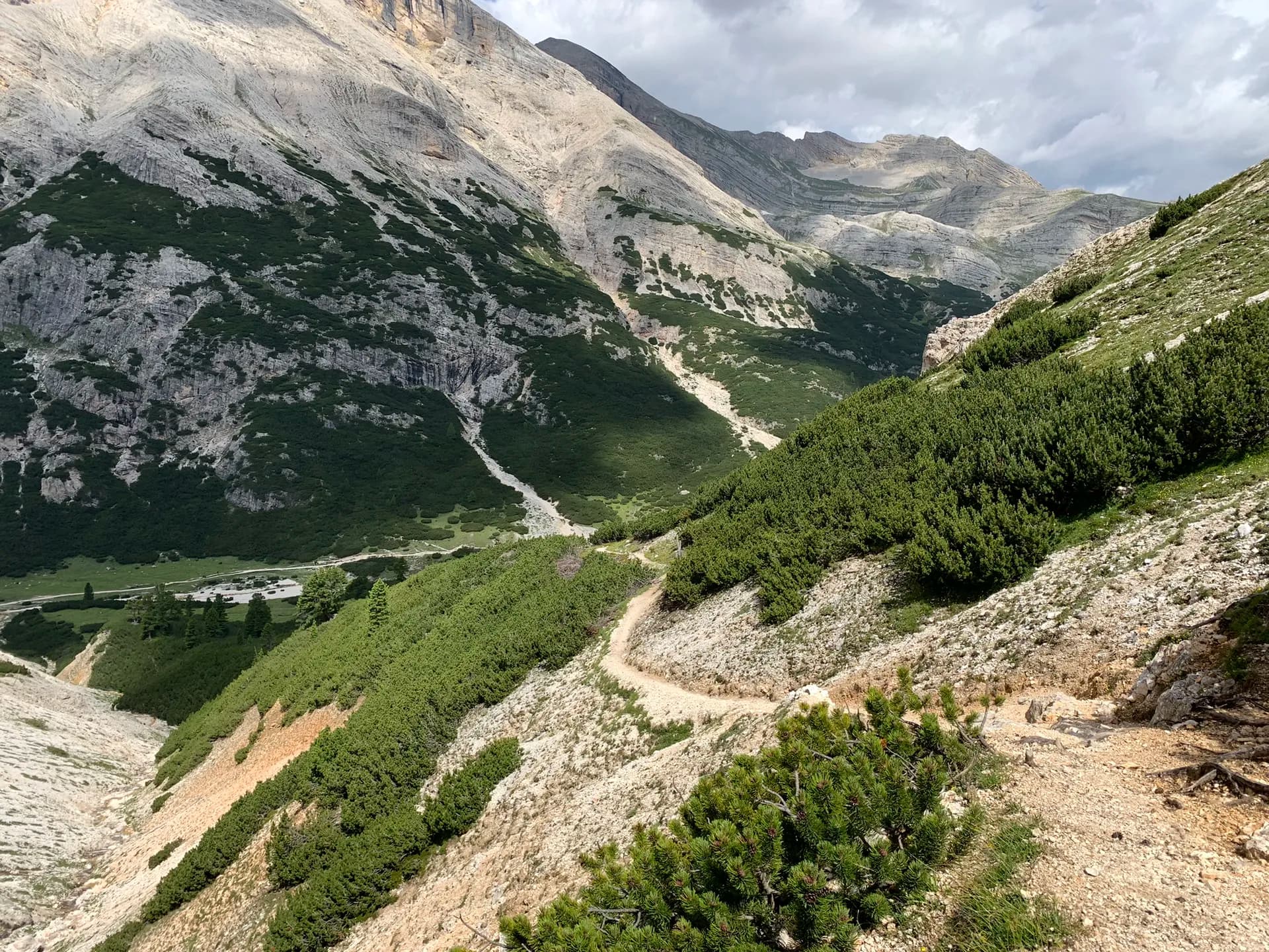 Hiking trail winding through a rocky alpine mountain valley with pine shrubs.