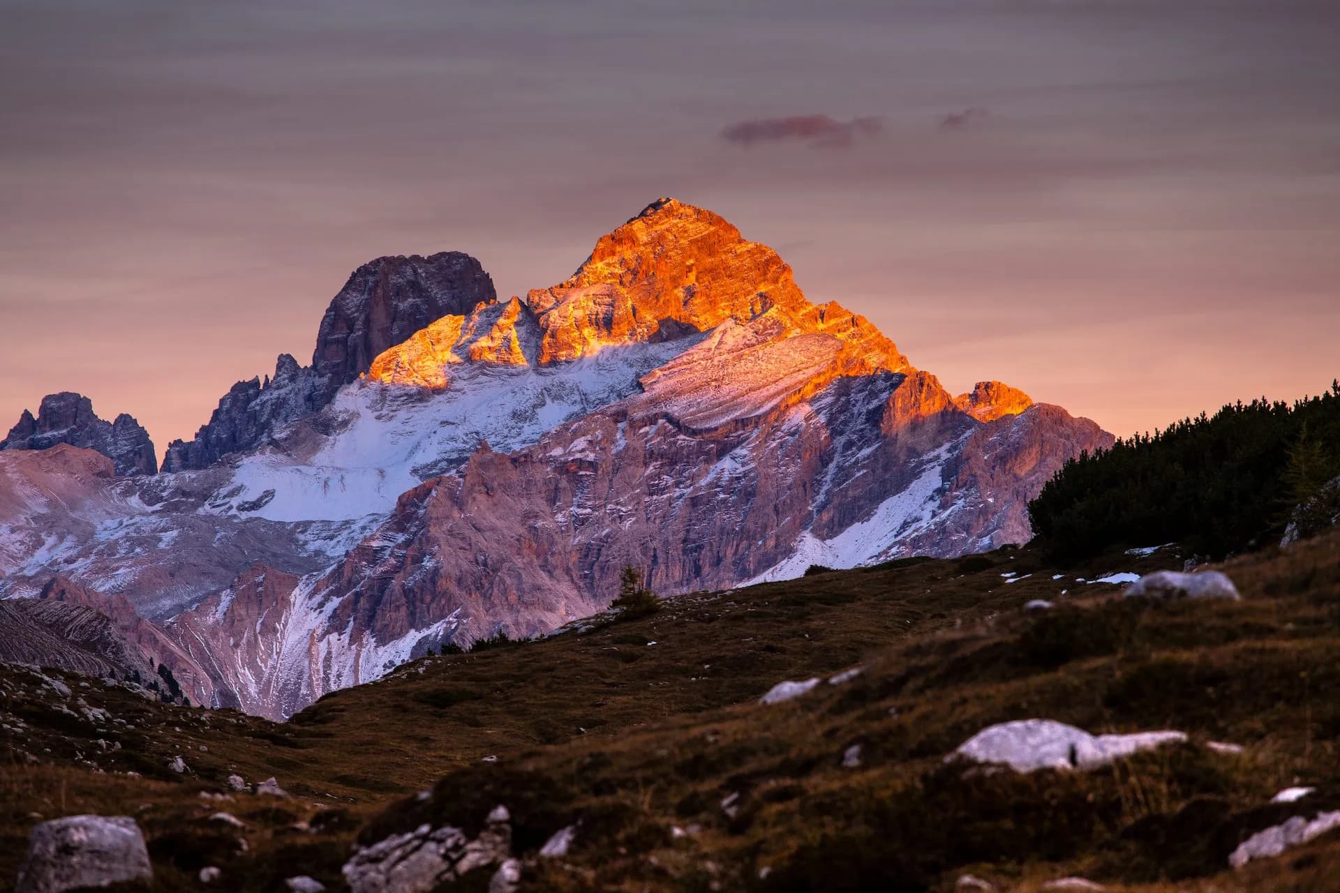 Alpenglow on snowy mountain peaks above a grassy foreground near Rifugio Sennes.