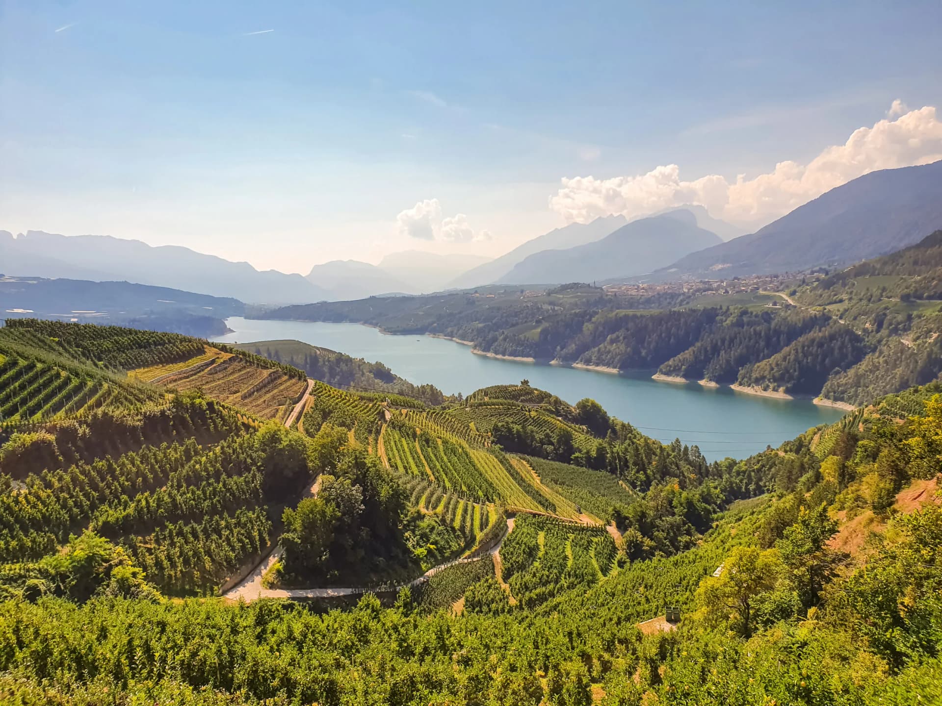 Terraced vineyards above a blue lake surrounded by hazy mountains under a clear sky.