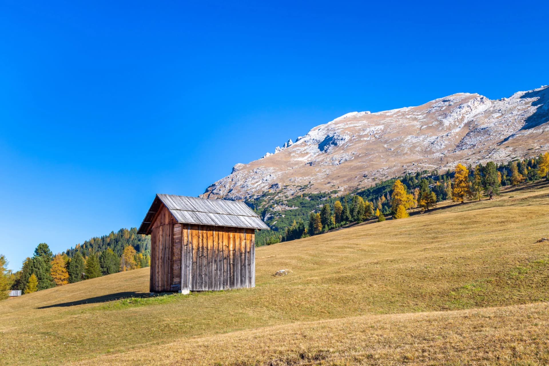 Wooden hut on a grassy slope below a rocky mountain under a clear blue sky in Prato Piazza.