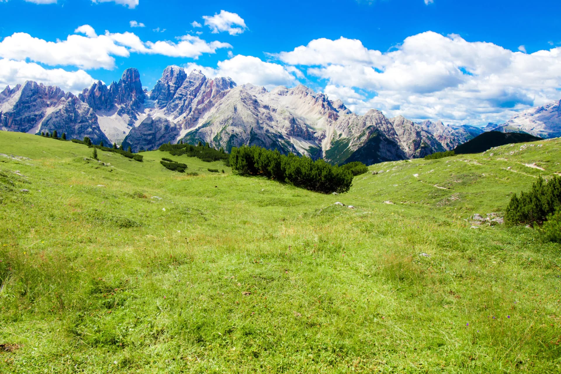 Green alpine meadow leading up to rugged, pale mountains under a bright blue sky with white clouds.