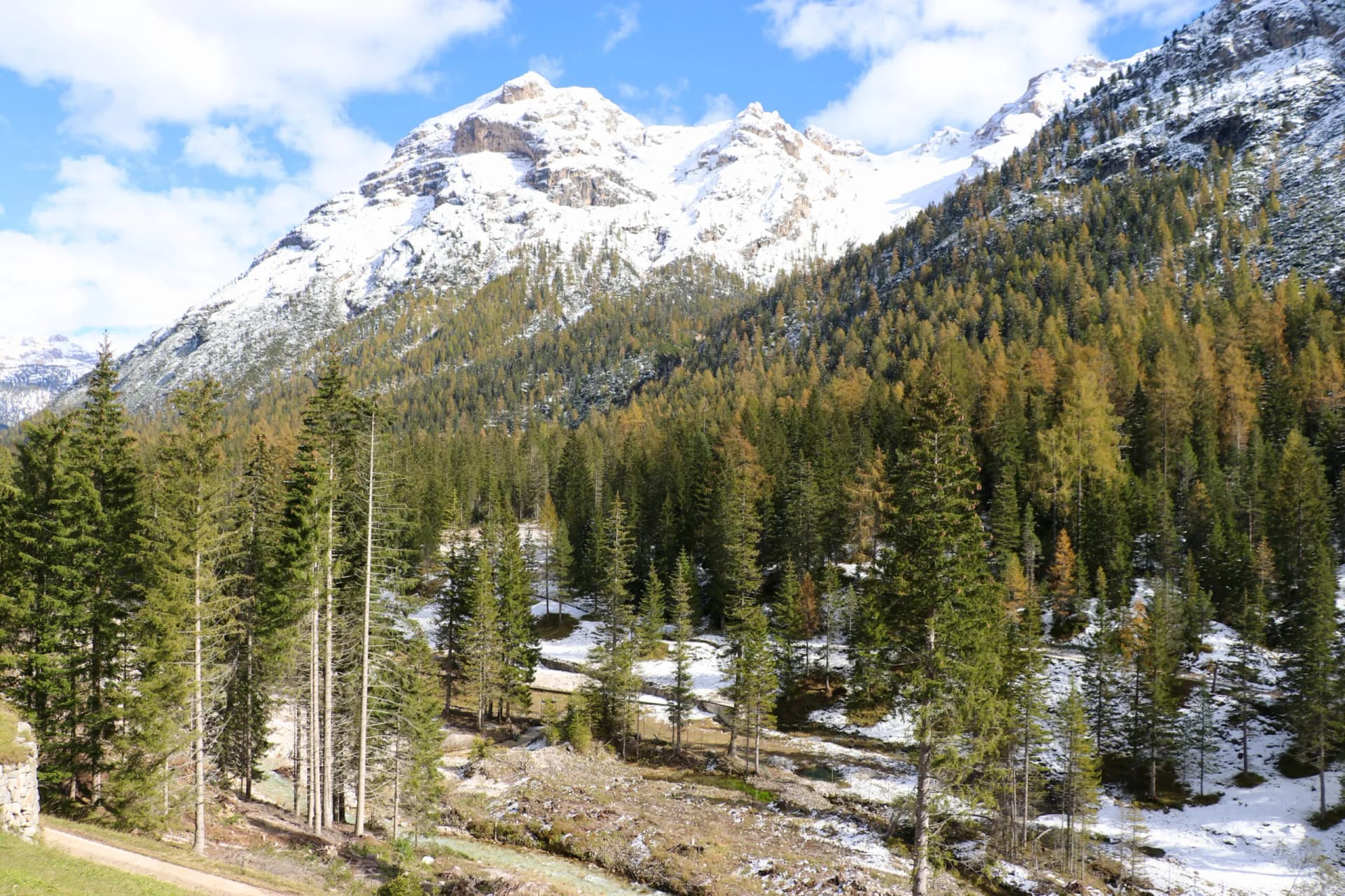 Snow-capped mountains above evergreen forest with patches of snow and autumn colors, blue sky.