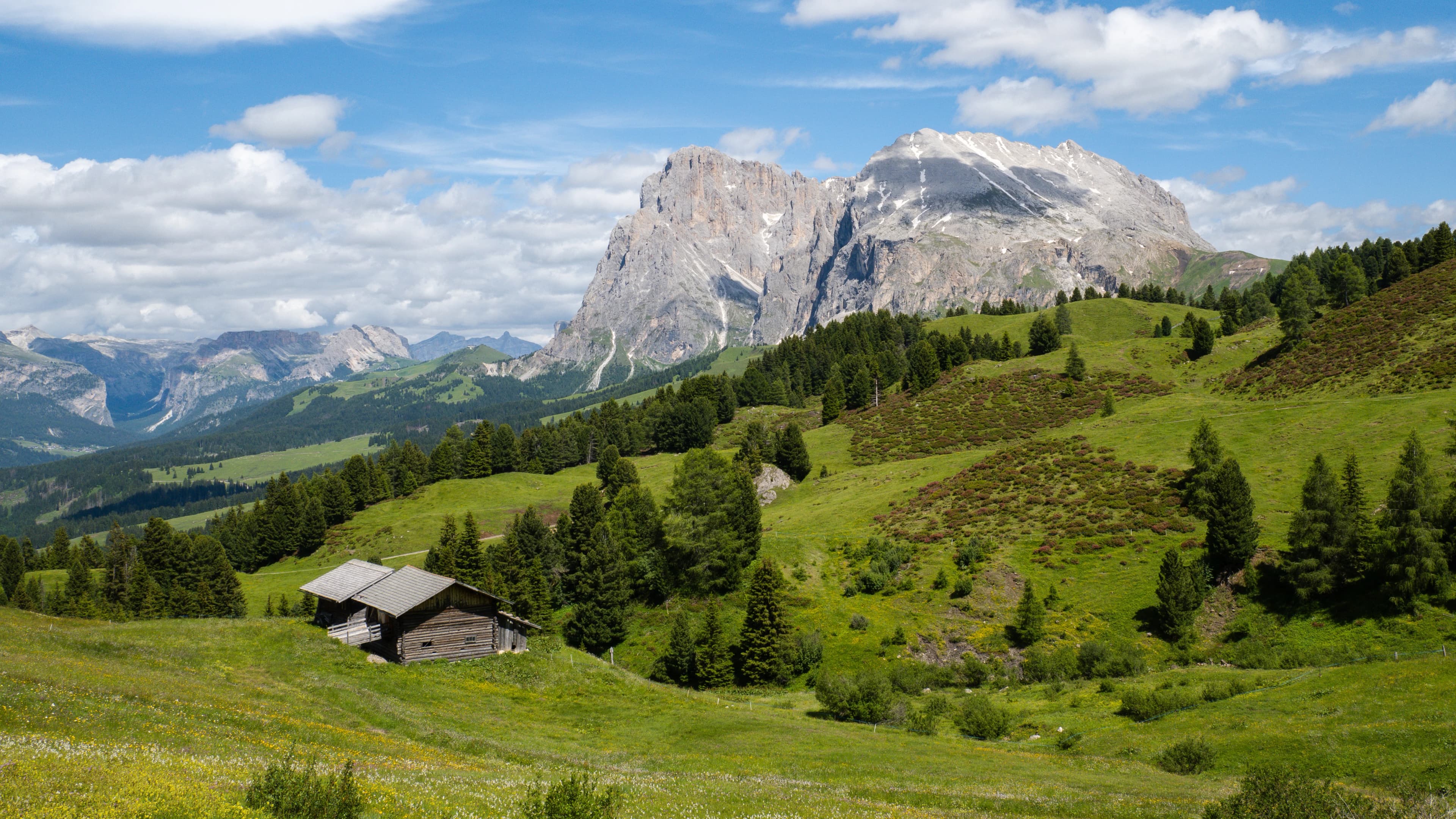 Panorama of Alpe Di Siusi near Seis Am Schlern and Compatsch with a view on Sassolungo on summer, Dolomites Mountains, Italy