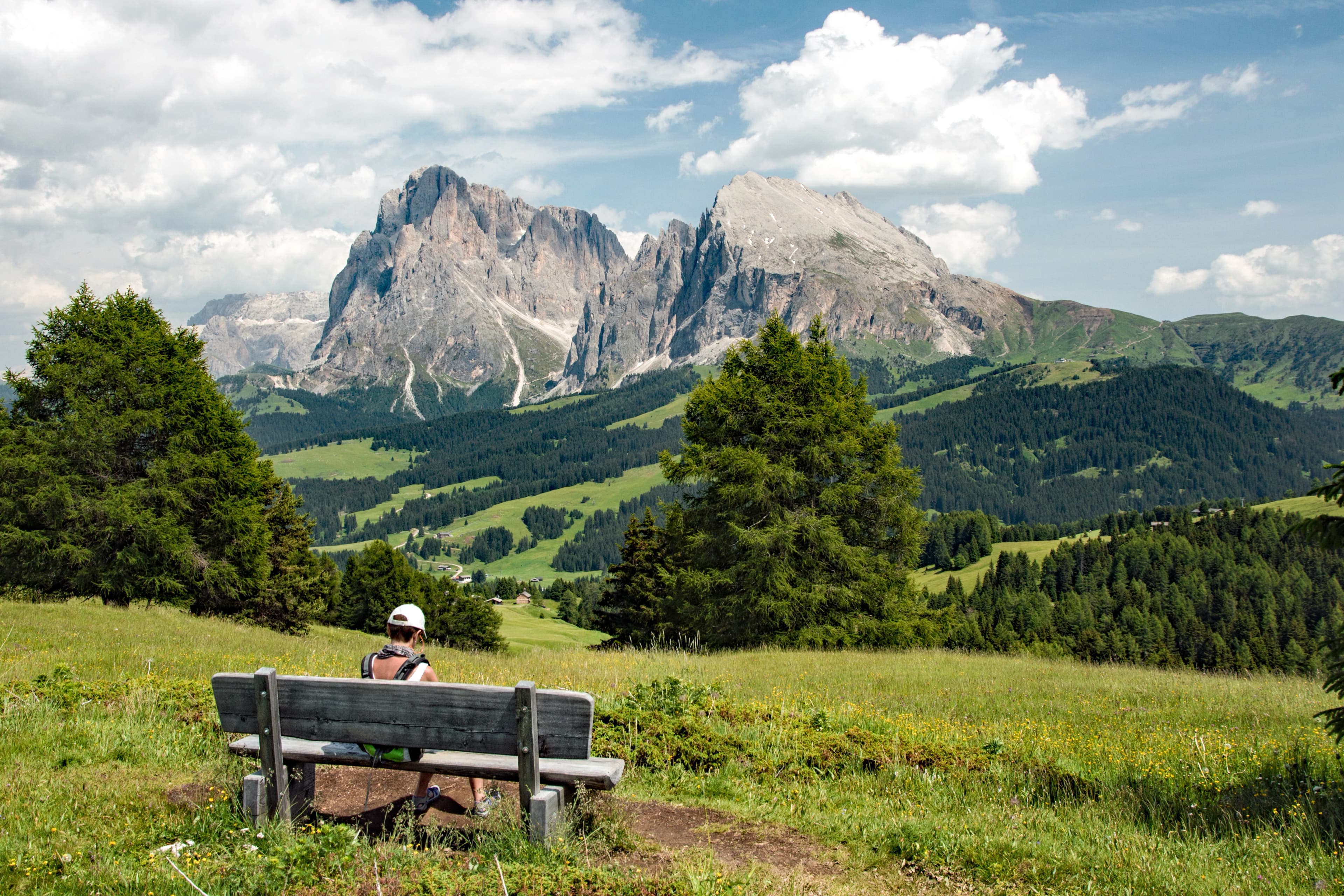 Dolomiti - alpe di Siusi - gruppo del Sassolungo - Italy