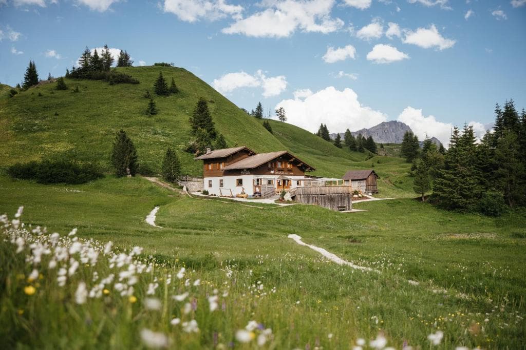 Alpine mountain hut in a green meadow with wildflowers and pine trees.