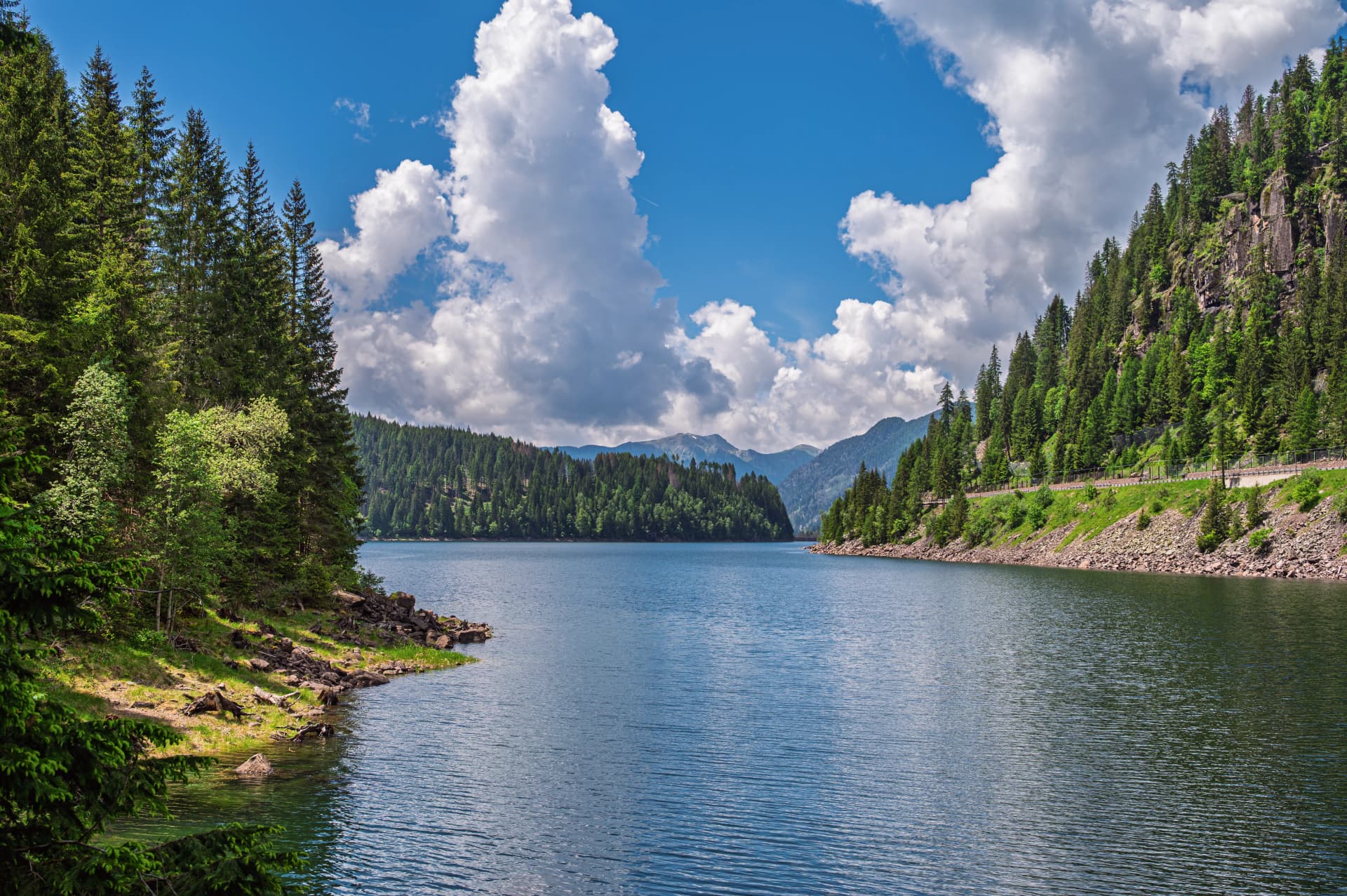 lake paneveggio inside the Natural Park, Predazzo, Trento, Dolomites, Italy
