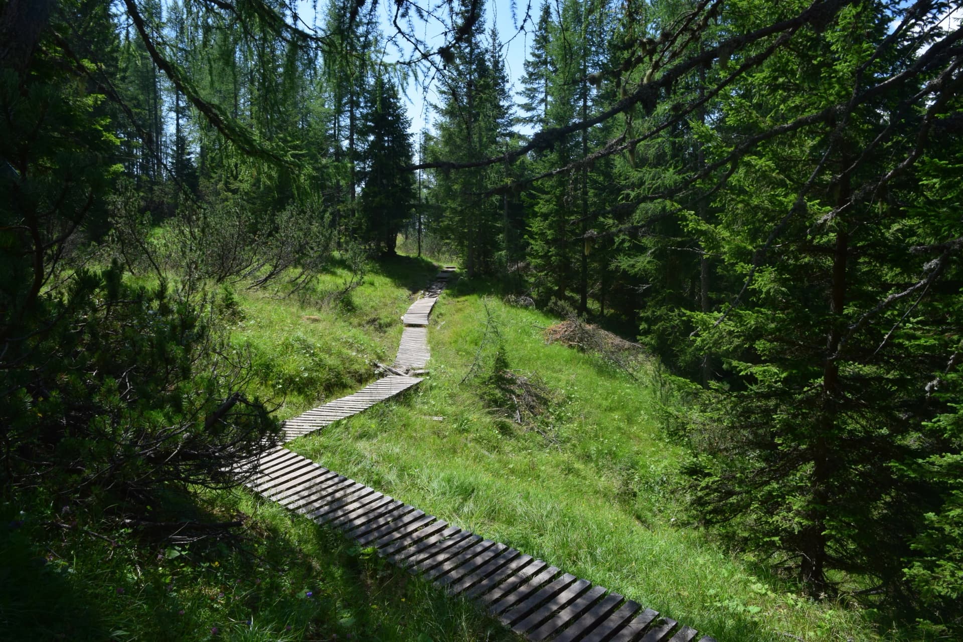 Dolomiti Bellunesi - Monte Pelmo