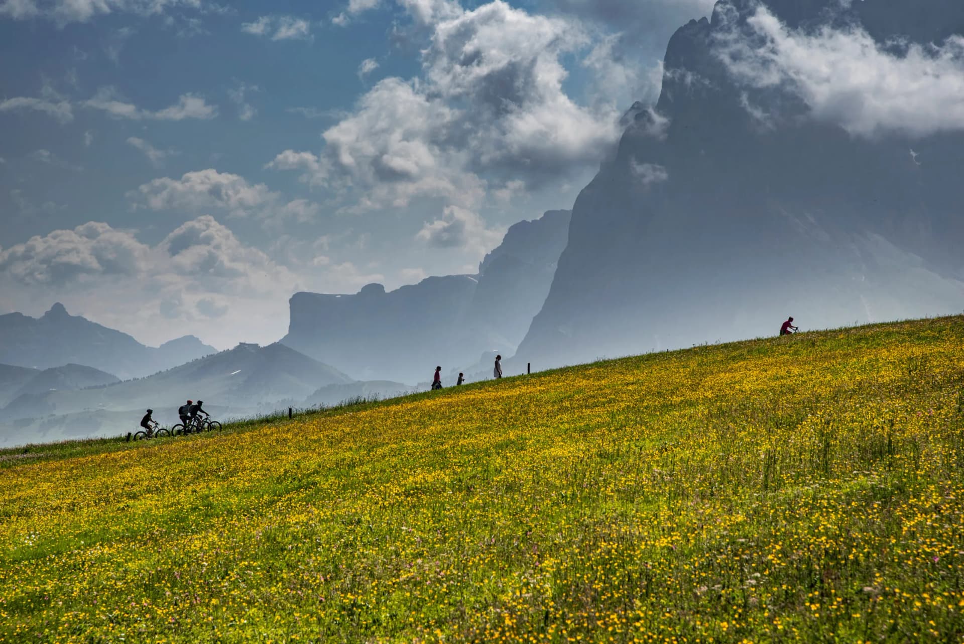 Hiking and biking on a grassy slope with yellow flowers towards misty mountains near Langkofel.
